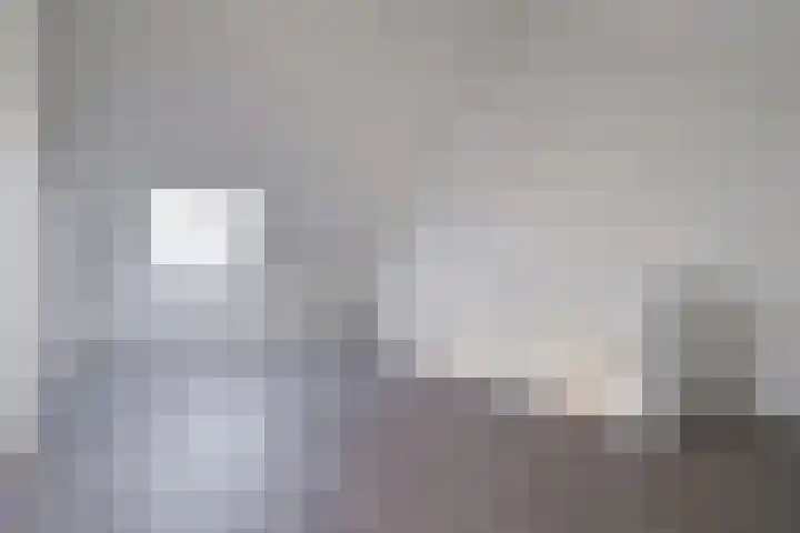 Rikkeshaag 24 Zevenaar thumbnail 44