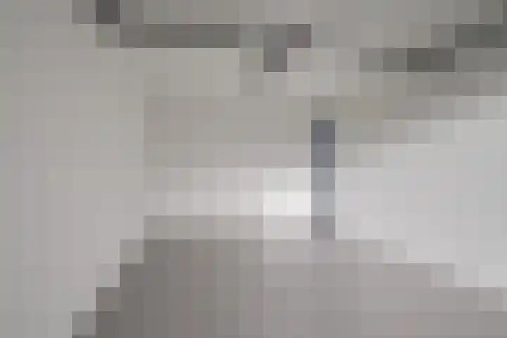 Rikkeshaag 24 Zevenaar thumbnail 46