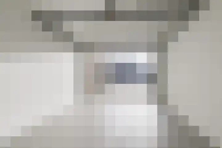 Rikkeshaag 24 Zevenaar thumbnail 48