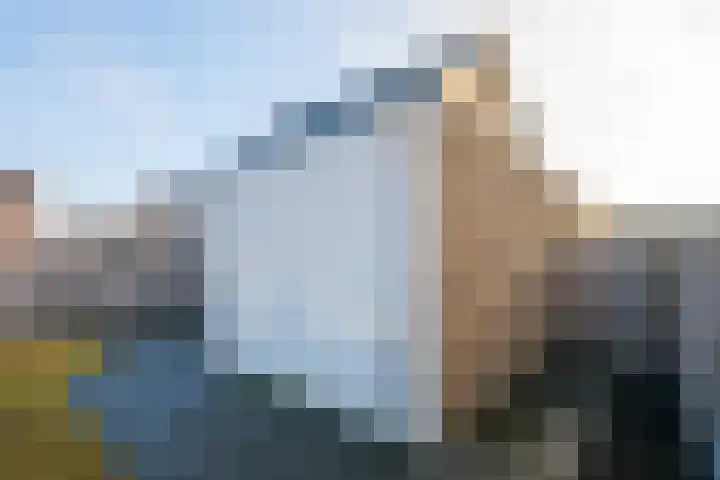 Rikkeshaag 24 Zevenaar thumbnail 53