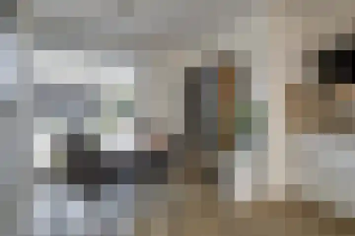 Rikkeshaag 26 Zevenaar thumbnail 15