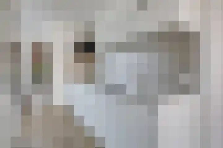 Rikkeshaag 26 Zevenaar thumbnail 17