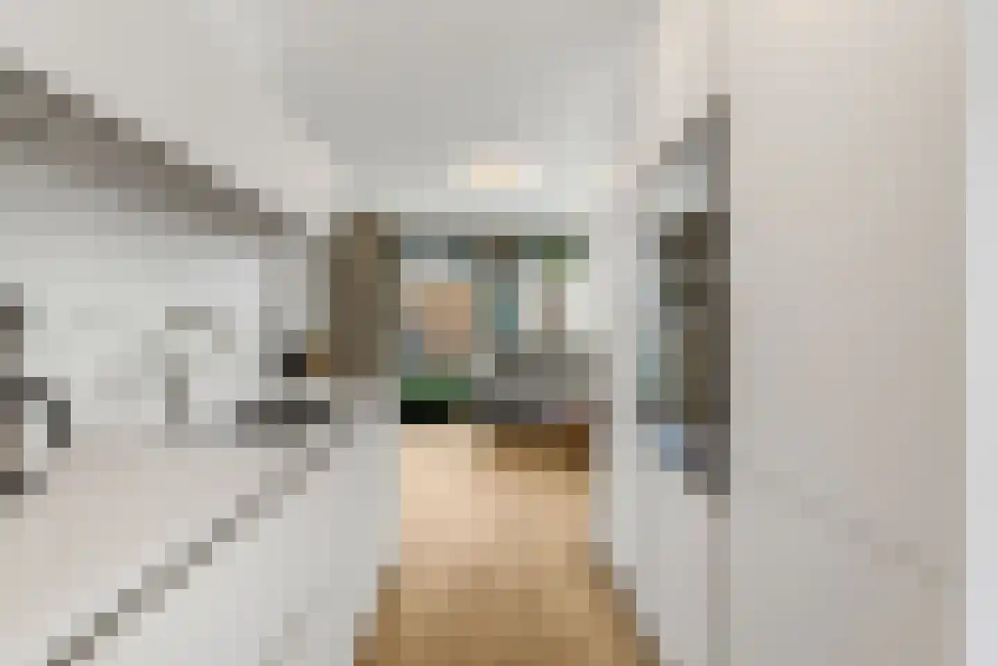 Rikkeshaag 26 Zevenaar thumbnail 18