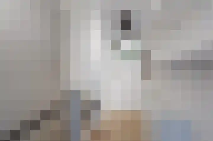 Rikkeshaag 26 Zevenaar thumbnail 37