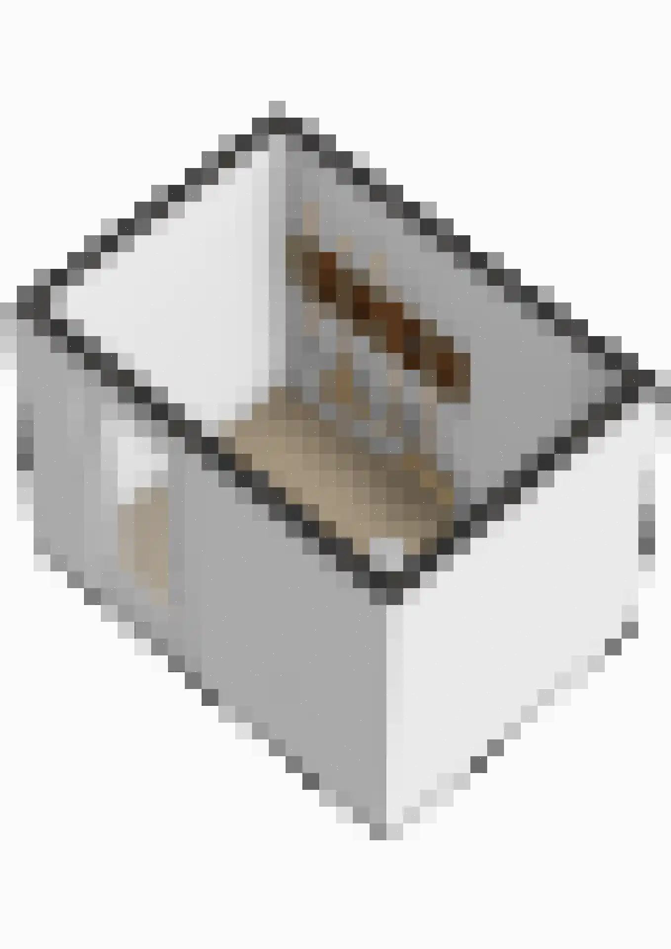 Rikkeshaag 26 Zevenaar thumbnail 38