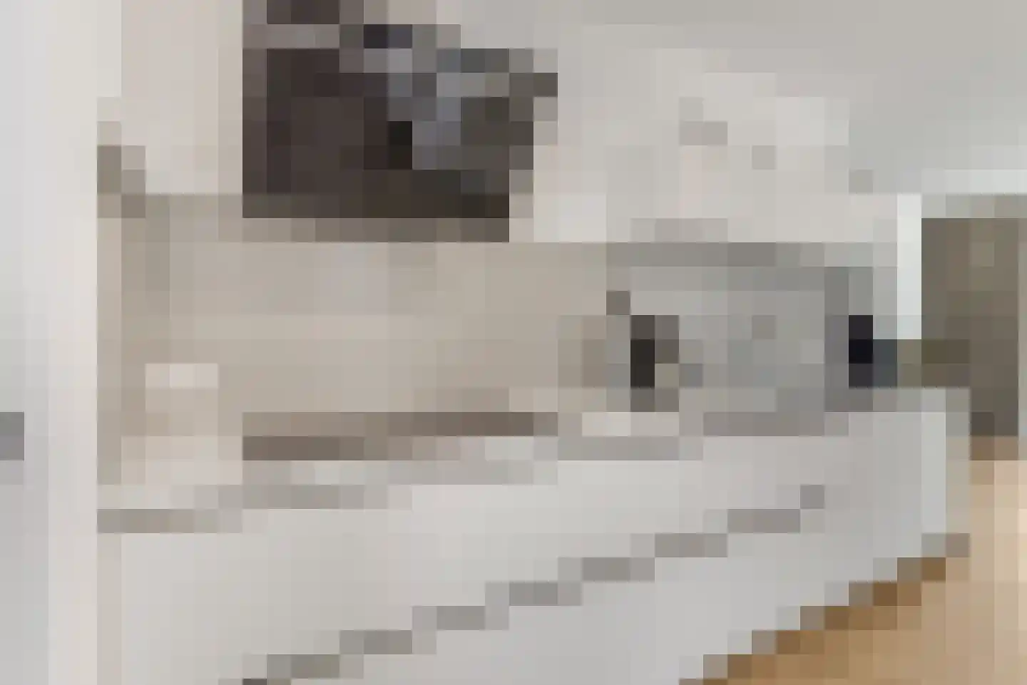 Rikkeshaag 26 Zevenaar thumbnail 4