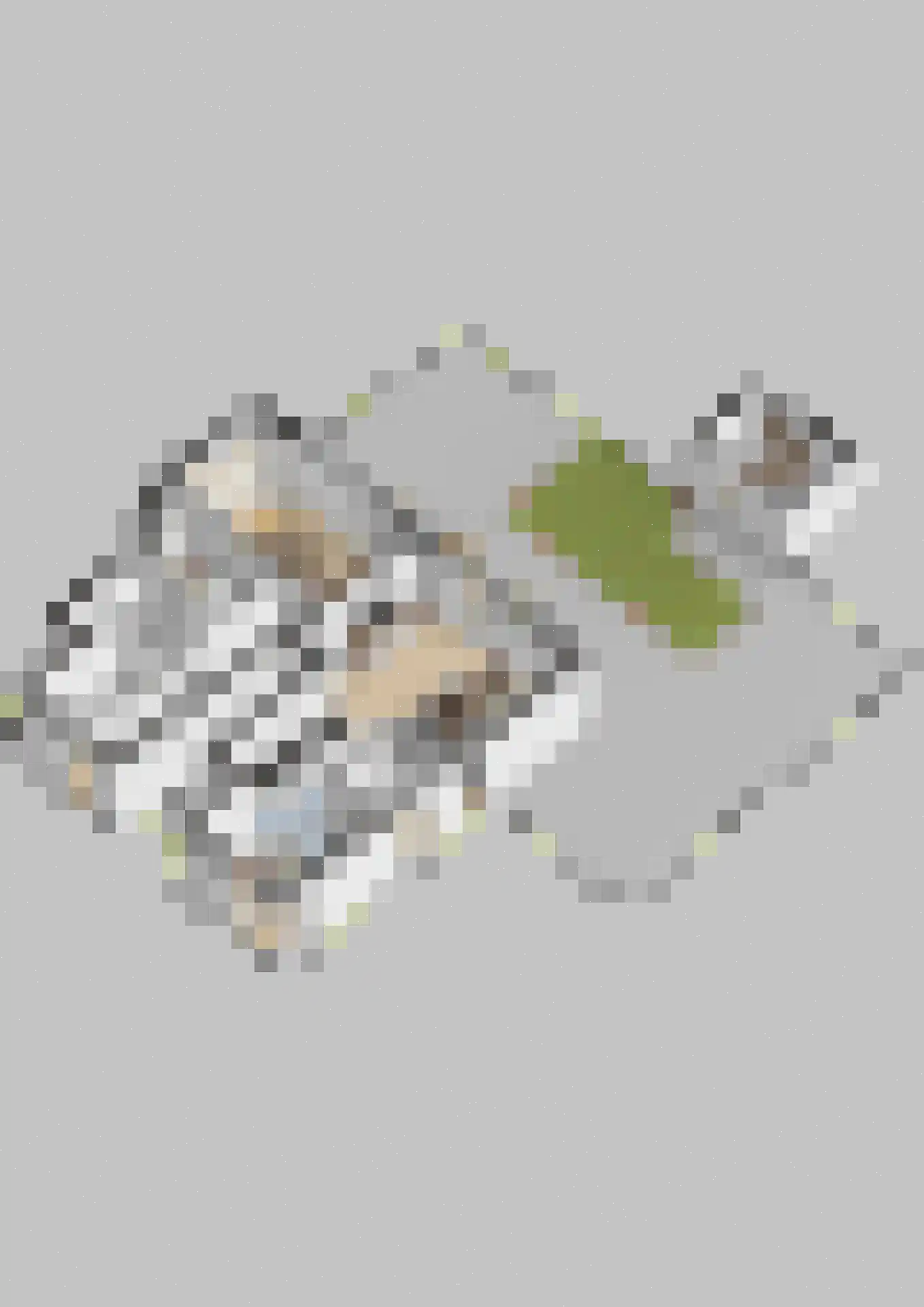 Rikkeshaag 26 Zevenaar thumbnail 41