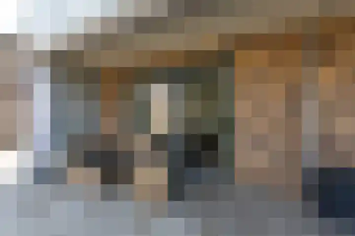 Rikkeshaag 26 Zevenaar thumbnail 42
