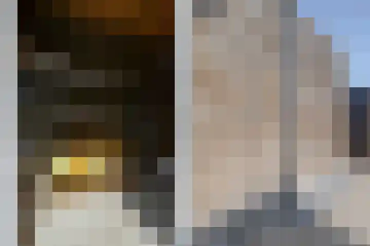 Rikkeshaag 26 Zevenaar thumbnail 49