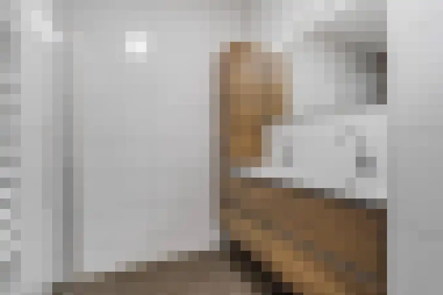 Rikkeshaag 26 Zevenaar thumbnail 5
