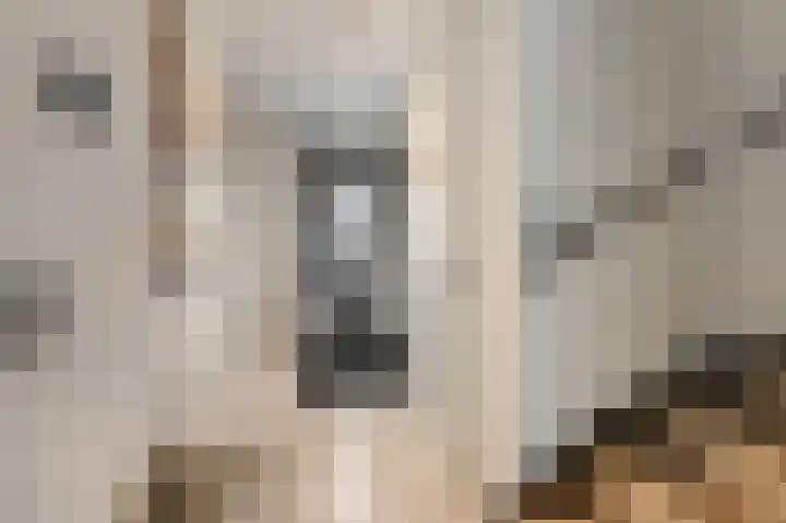 Rikkeshaag 5 Zevenaar thumbnail 12