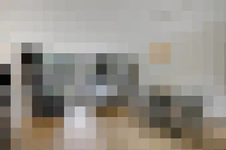 Rikkeshaag 5 Zevenaar thumbnail 15