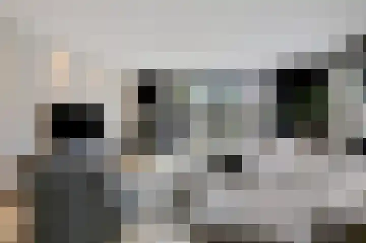 Rikkeshaag 5 Zevenaar thumbnail 16