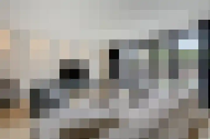 Rikkeshaag 5 Zevenaar thumbnail 17