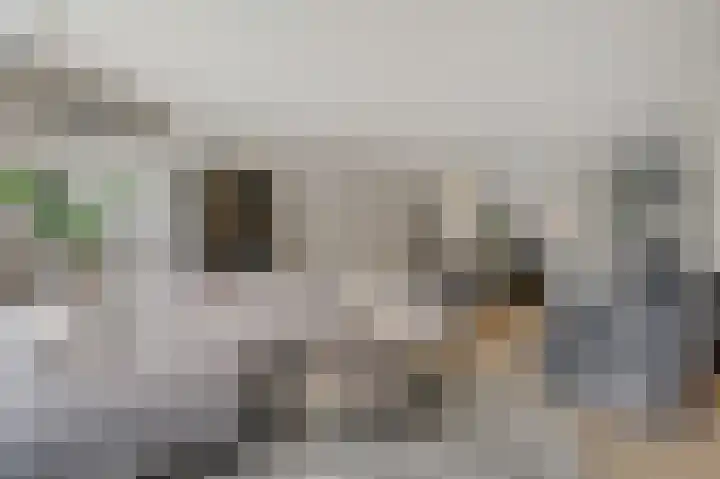 Rikkeshaag 5 Zevenaar thumbnail 19