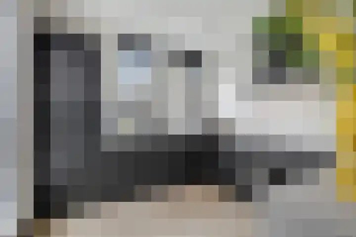 Rikkeshaag 5 Zevenaar thumbnail 24