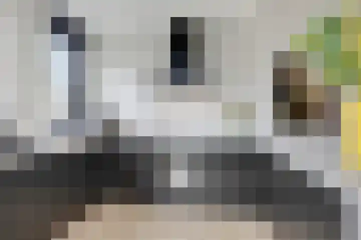 Rikkeshaag 5 Zevenaar thumbnail 25