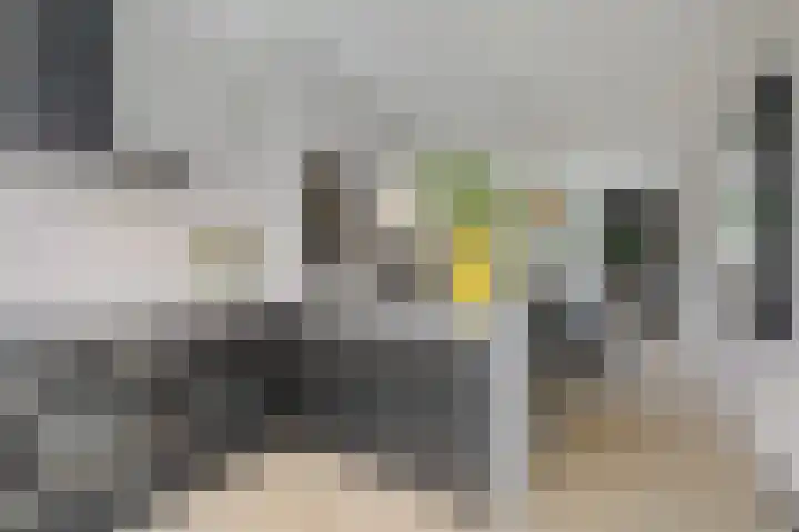 Rikkeshaag 5 Zevenaar thumbnail 26