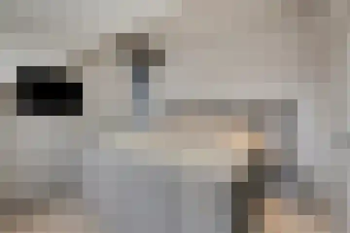 Rikkeshaag 5 Zevenaar thumbnail 42