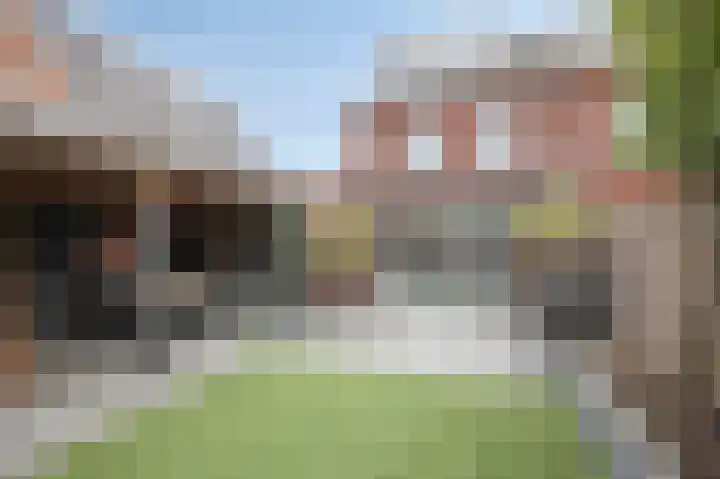 Rikkeshaag 5 Zevenaar thumbnail 46
