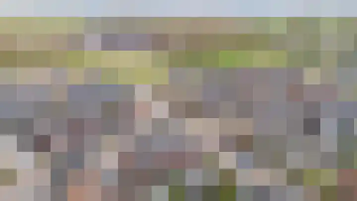 Rikkeshaag 5 Zevenaar thumbnail 53