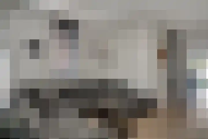Rikkeshaag 7 Zevenaar thumbnail 12