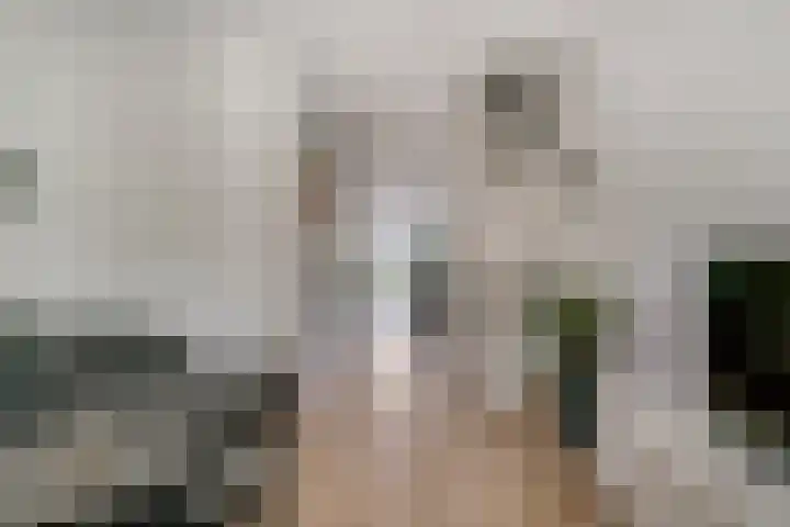 Rikkeshaag 7 Zevenaar thumbnail 13