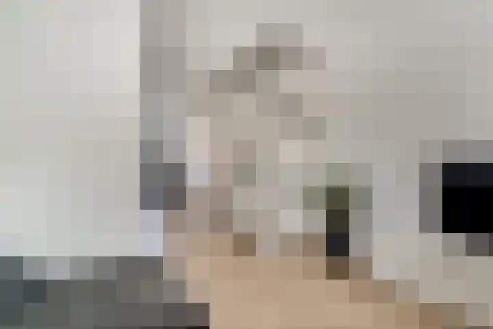 Rikkeshaag 7 Zevenaar thumbnail 14