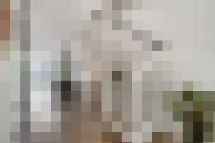 Rikkeshaag 7 Zevenaar thumbnail 15