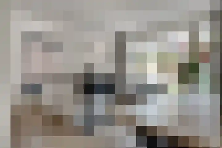 Rikkeshaag 7 Zevenaar thumbnail 17