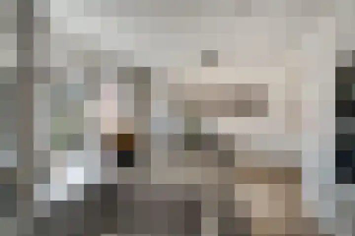 Rikkeshaag 7 Zevenaar thumbnail 20