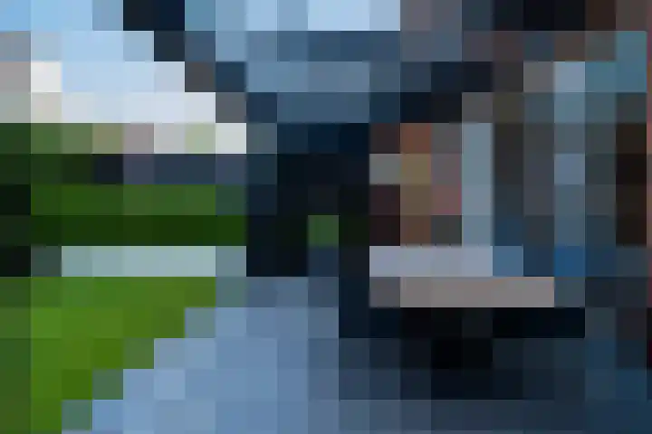 Rikkeshaag 7 Zevenaar thumbnail 27