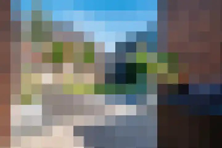 Rikkeshaag 7 Zevenaar thumbnail 28