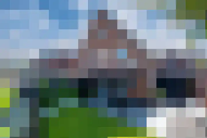 Rikkeshaag 7 Zevenaar thumbnail 34