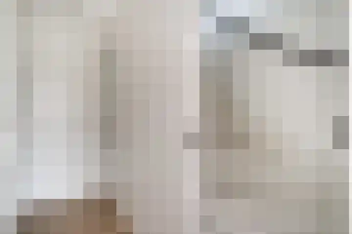 Rikkeshaag 7 Zevenaar thumbnail 36