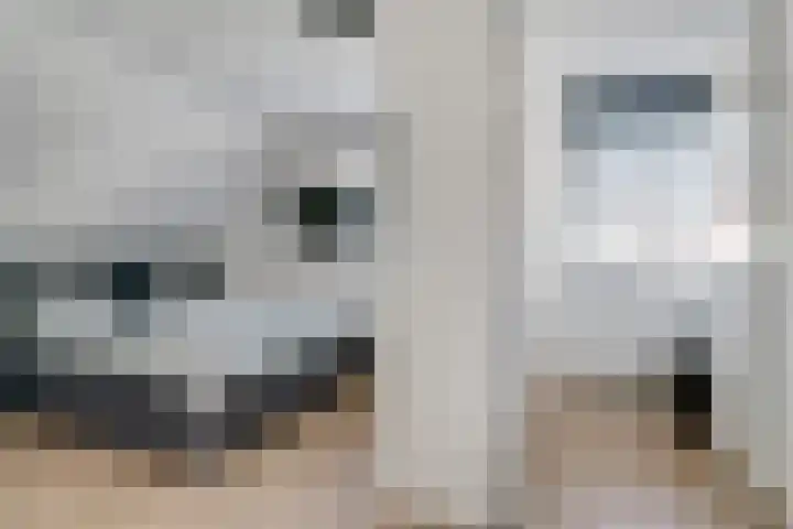 Rikkeshaag 7 Zevenaar thumbnail 37