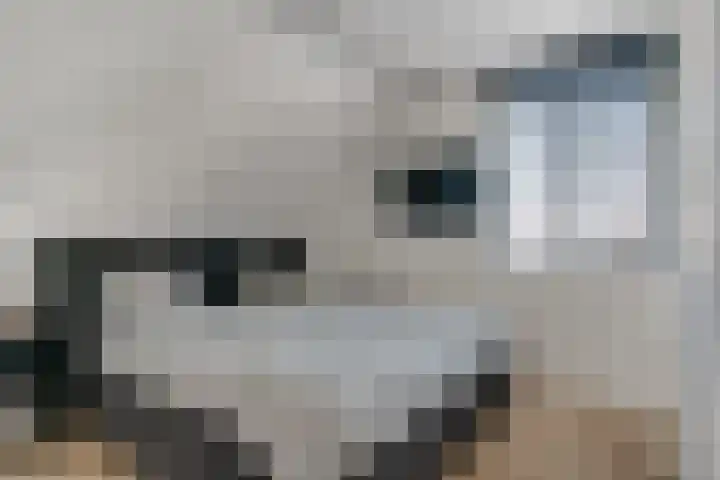 Rikkeshaag 7 Zevenaar thumbnail 39