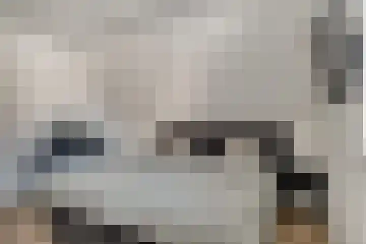 Rikkeshaag 7 Zevenaar thumbnail 43