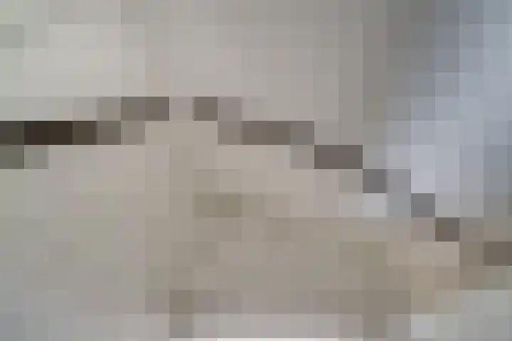 Rikkeshaag 7 Zevenaar thumbnail 51