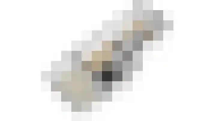 Rikkeshaag 7 Zevenaar thumbnail 62