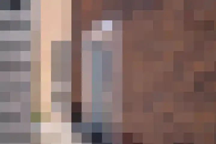 Rikkeshaag 7 Zevenaar thumbnail 9