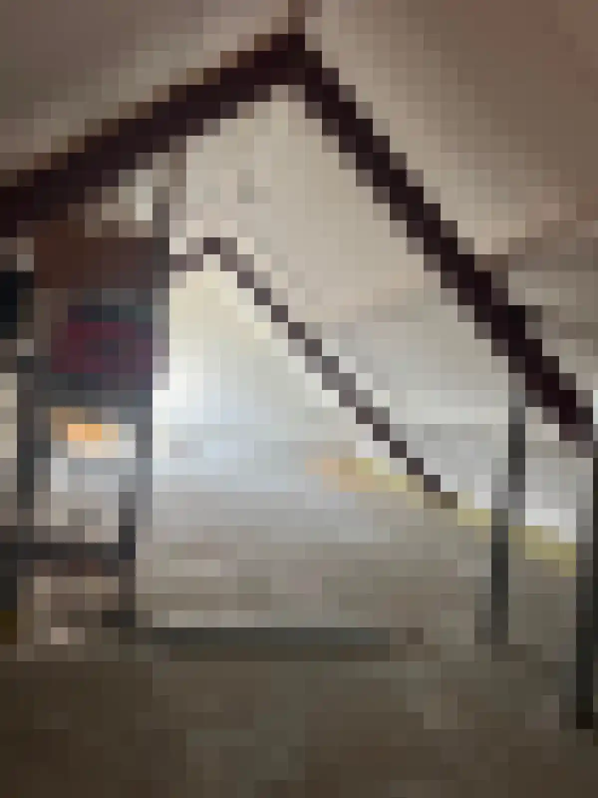 Rikkingahof 1 Oosterwolde foto 2