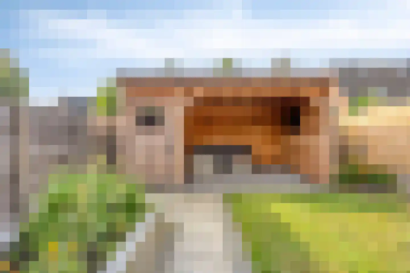 Riklanden 13 Assen thumbnail 23