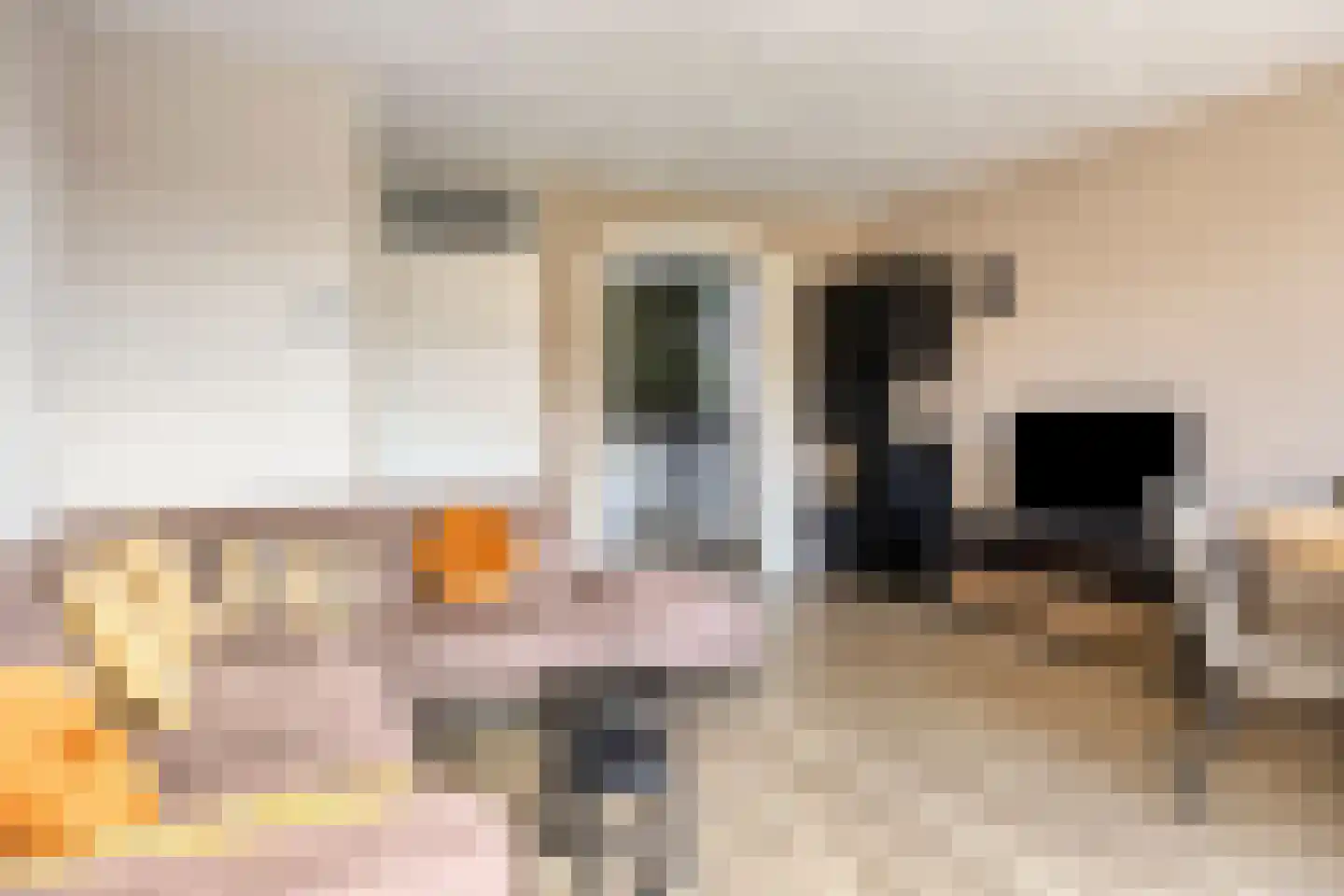Riklanden 13 Assen thumbnail 6