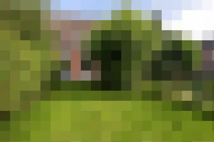 Riklanden 17 Assen thumbnail 17