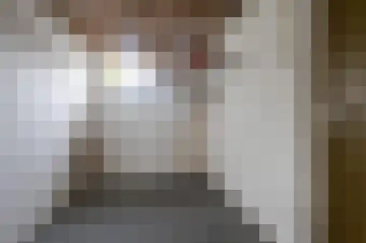 Riklanden 17 Assen thumbnail 9