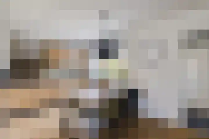 Riklanden 3 Assen thumbnail 10