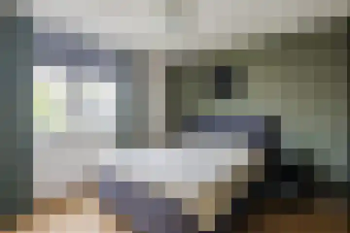 Riklanden 3 Assen thumbnail 20