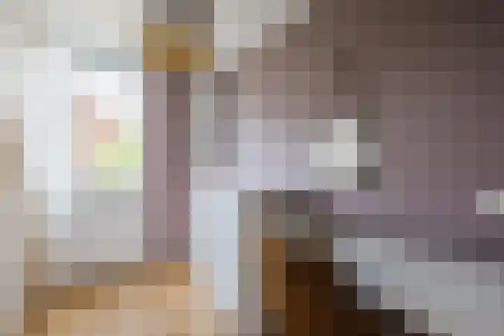 Riklanden 3 Assen thumbnail 26