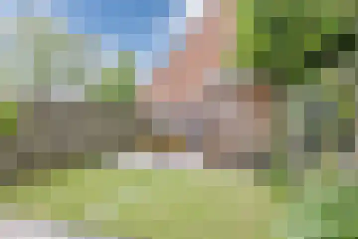 Riklanden 3 Assen thumbnail 35